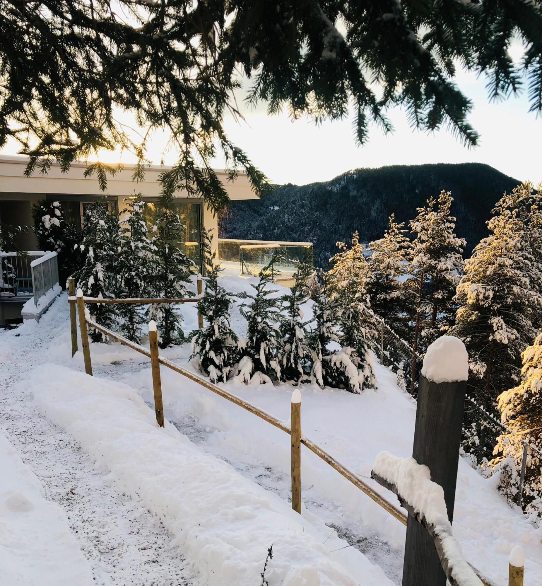 Chalet Tschattlhof Dolomites Cavalese Exterior photo
